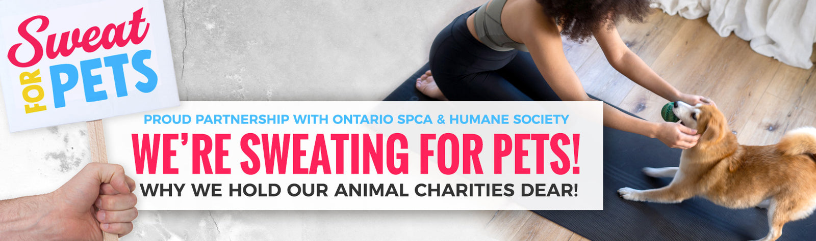 Were Sweating for Pets!