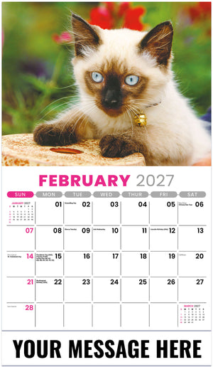 Kittens - 2027 Promotional Calendar