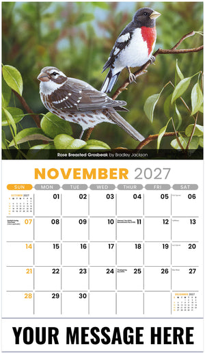 Garden Birds - 2027 Promotional Calendar