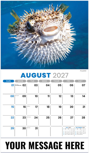 International Wildlife - 2027 Promotional Calendar