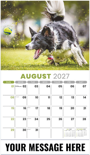 Pets - 2027 Promotional Calendar