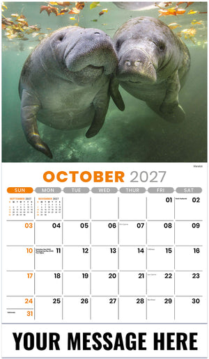 International Wildlife - 2027 Promotional Calendar