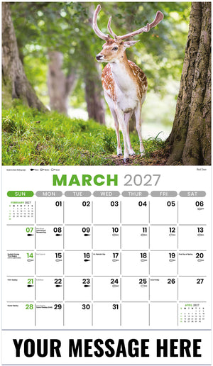 North American Wildlife - 2027 Promotional Calendar