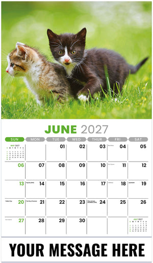 Kittens - 2027 Promotional Calendar