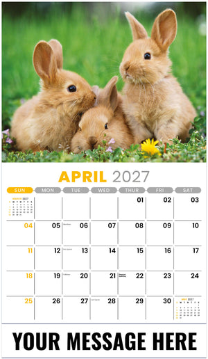 Pets - 2027 Promotional Calendar
