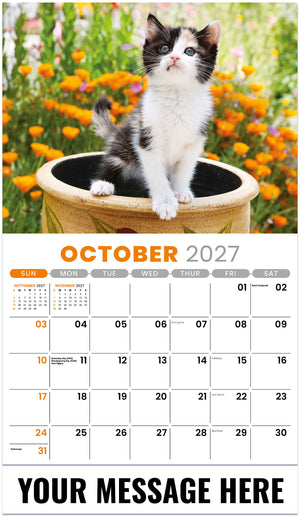 Kittens - 2027 Promotional Calendar