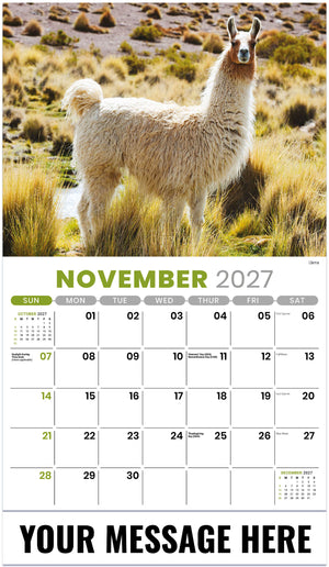 International Wildlife - 2027 Promotional Calendar
