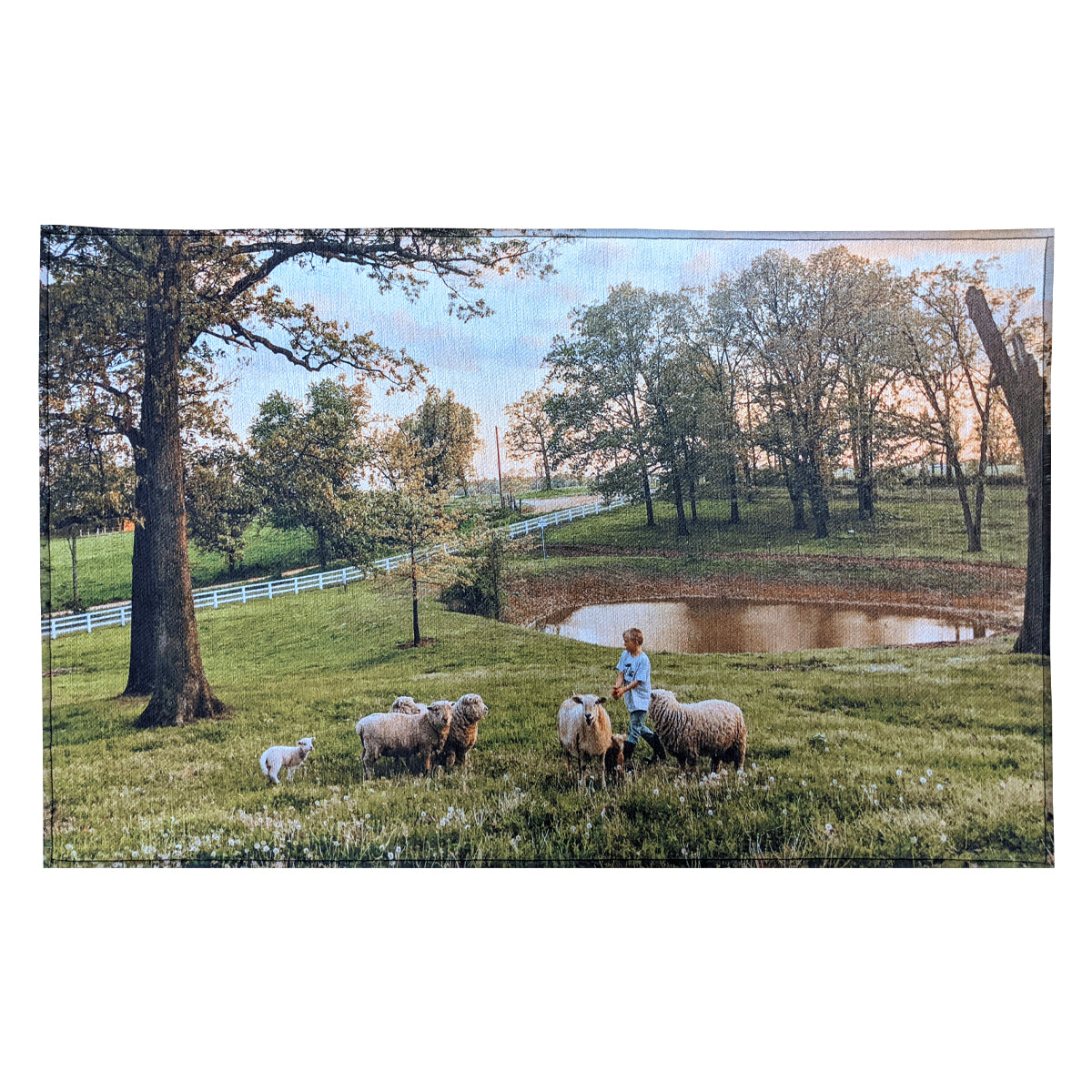 20" X 31" Indoor Rug - White