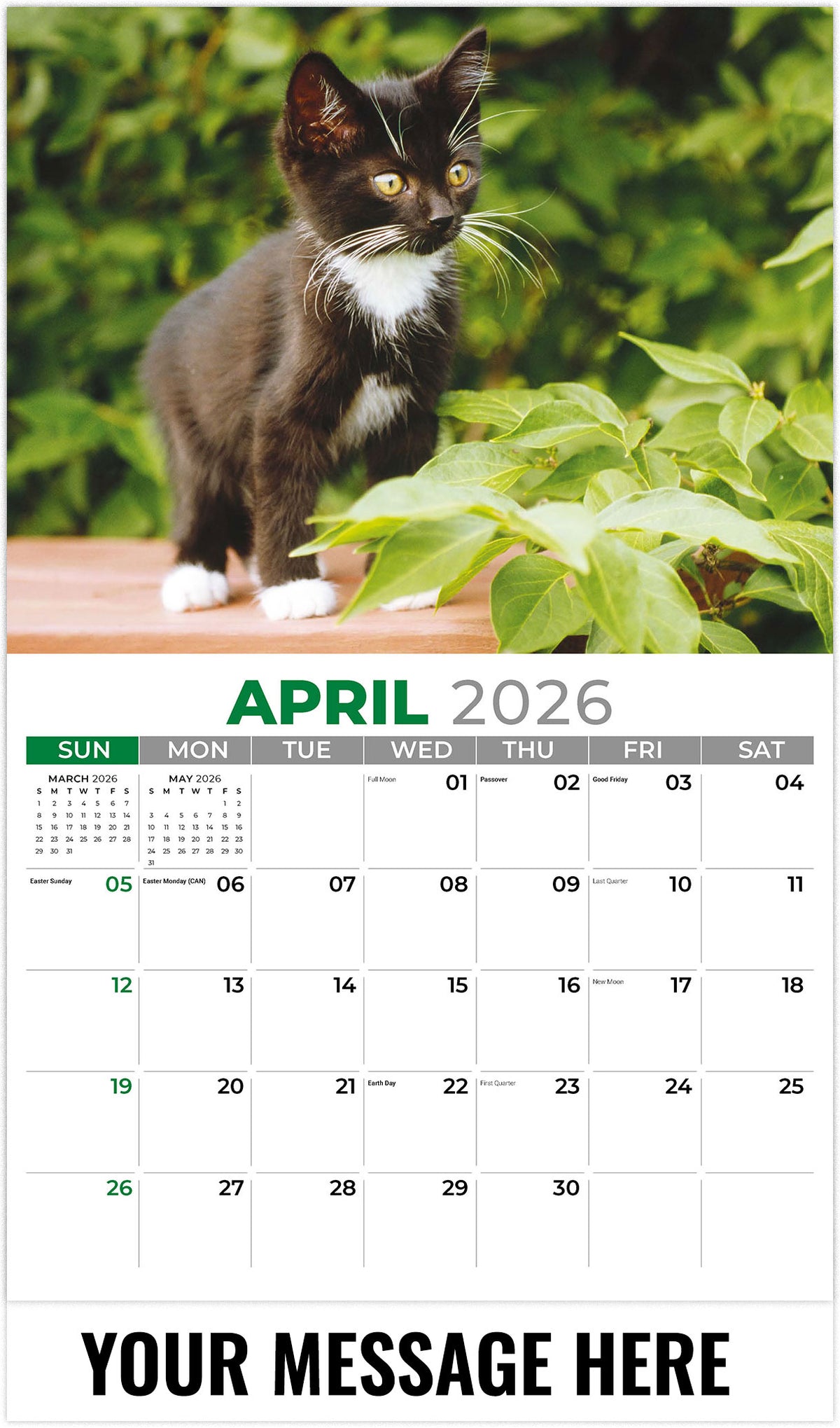 Kittens - 2026 Promotional Calendar