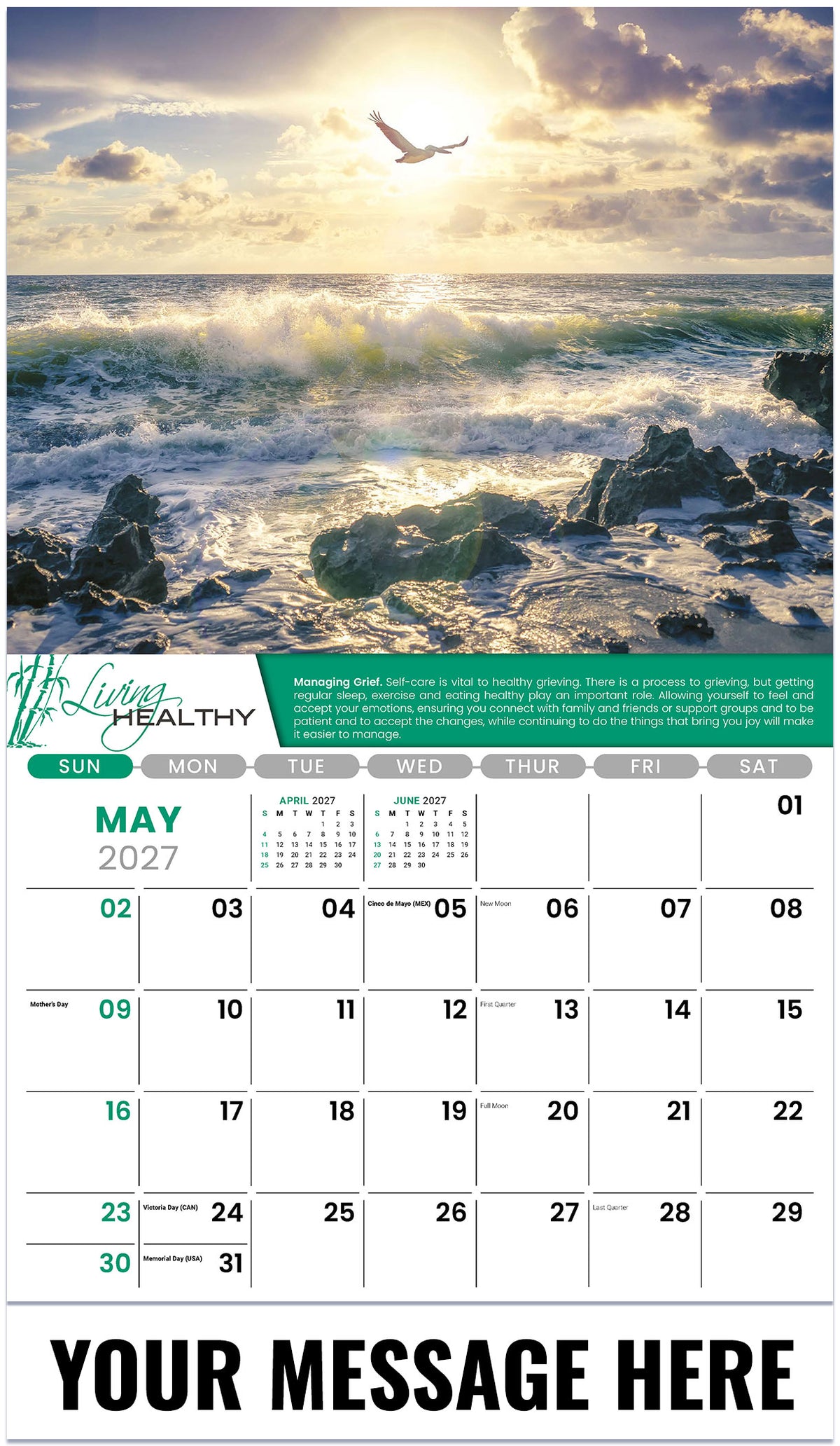 Living Healthy - 2027 Promotional Calendar