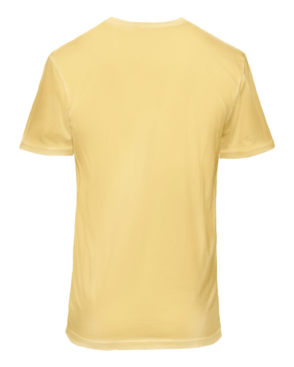 Next Level Unisex Soft Wash T-Shirt
