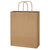 Kraft Paper Brown Shopping Bag - 10" x 13"