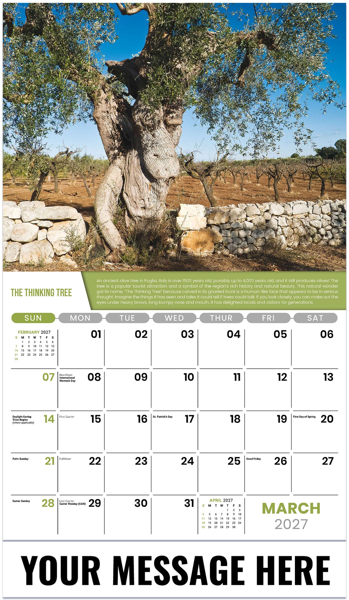 Planet Earth - 2027 Promotional Calendar