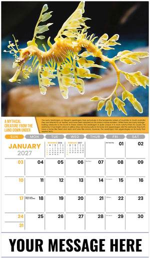 Planet Earth - 2027 Promotional Calendar