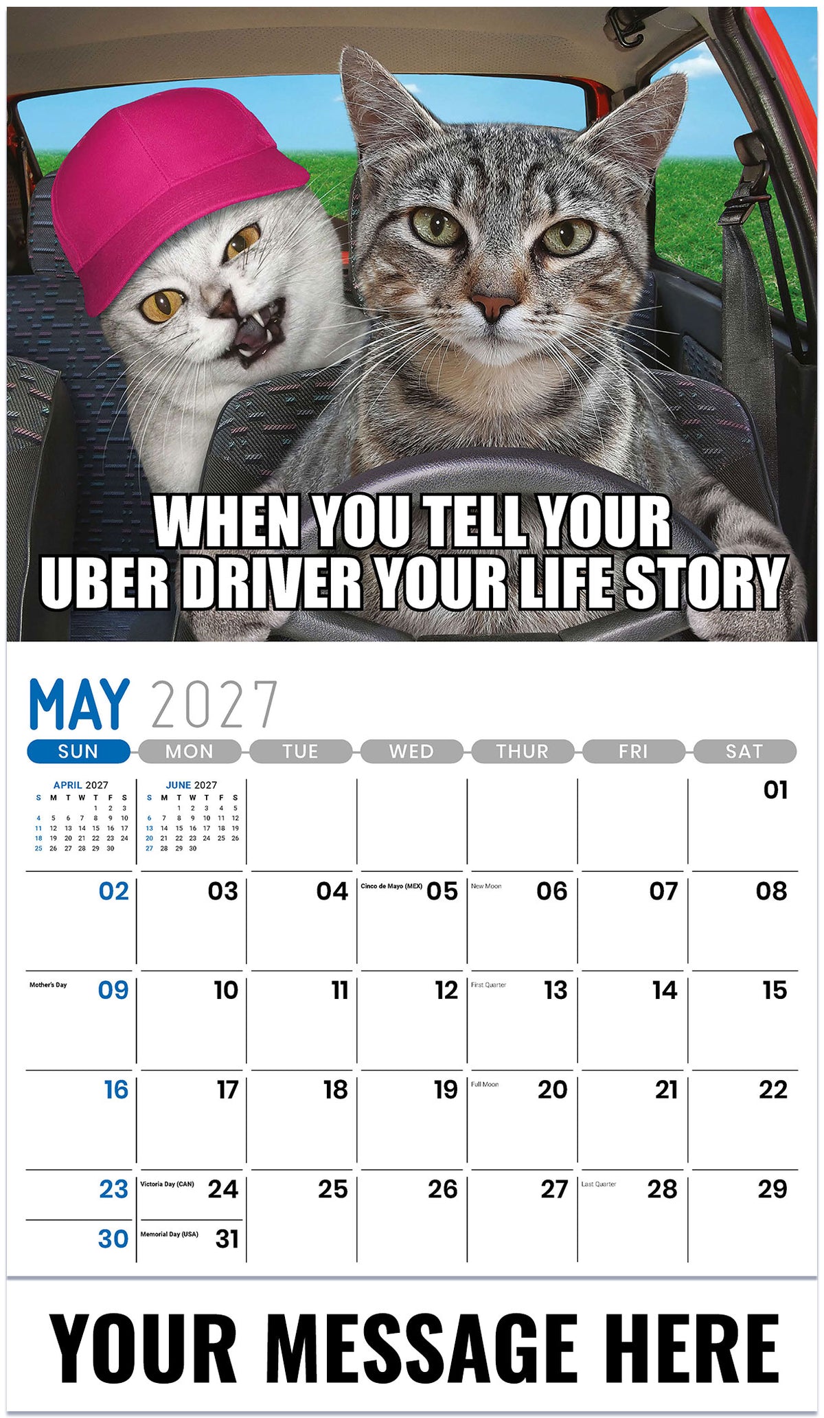 The Memeing of Life - 2027 Promotional Calendar
