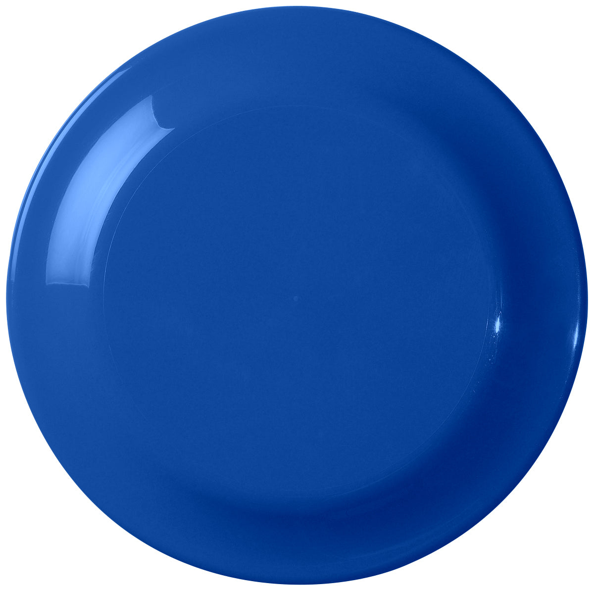 Large Discus - Blue