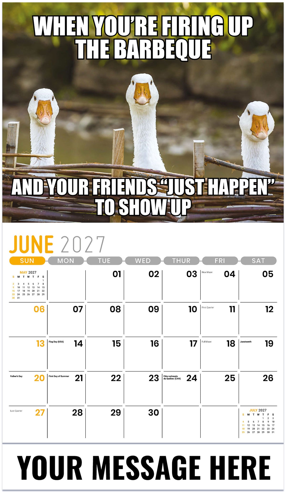 The Memeing of Life - 2027 Promotional Calendar