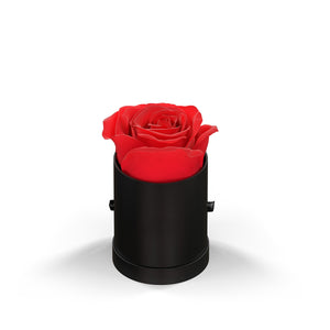 Classique by VeF Le Mini™ Round - Black Box
