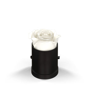 Classique by VeF Le Mini™ Round - Black Box