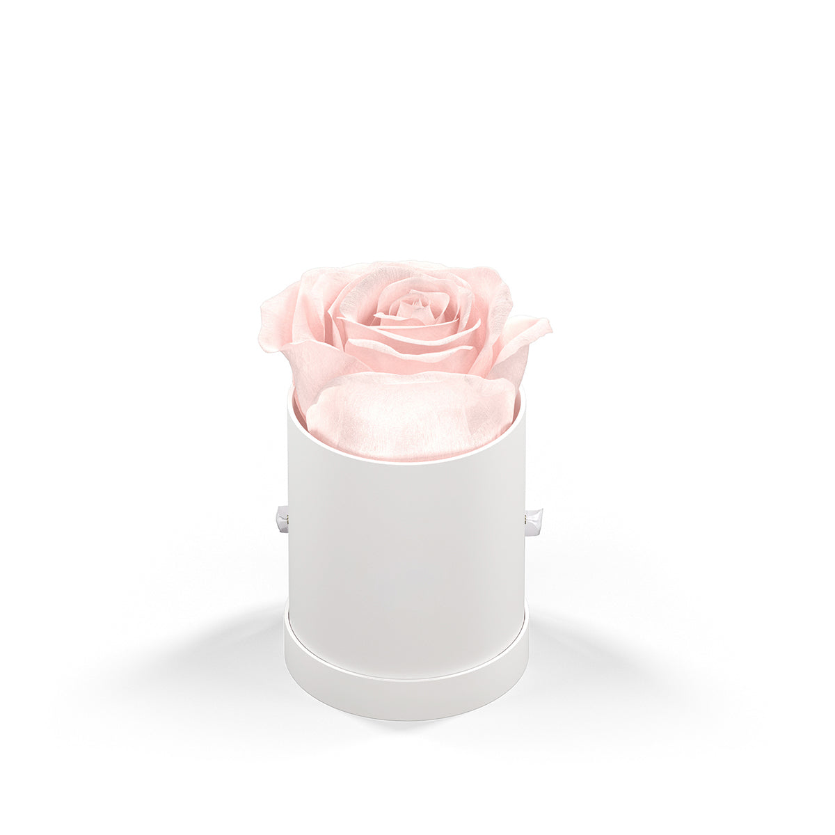Classique by VeF Le Mini™ Round - White Box