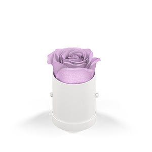 Classique by VeF Le Mini™ Round - White Box