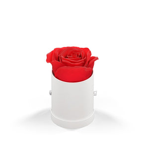 Classique by VeF Le Mini™ Round - White Box