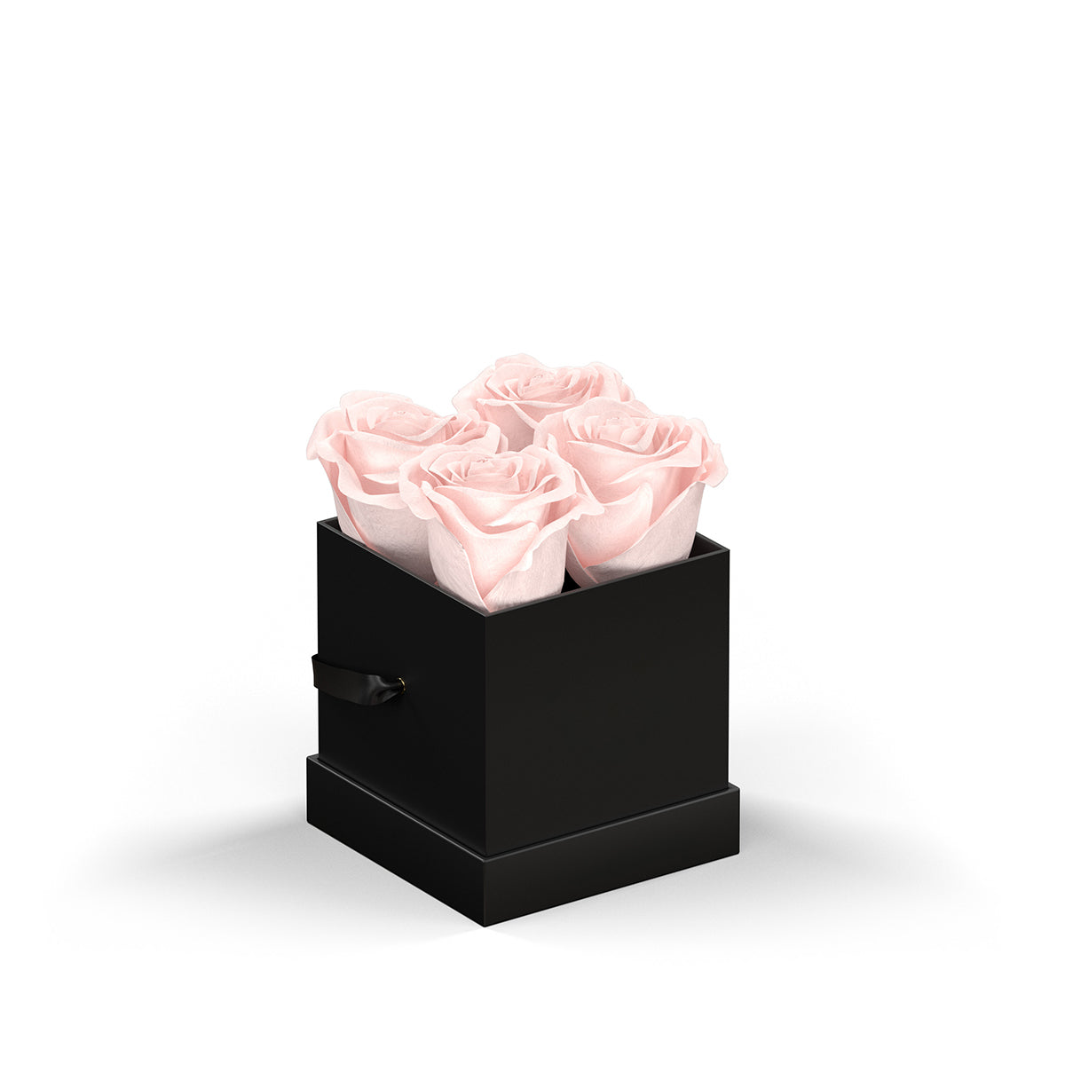 Classique by VeF Petit - Black Box