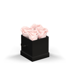 Classique by VeF Petit - Black Box