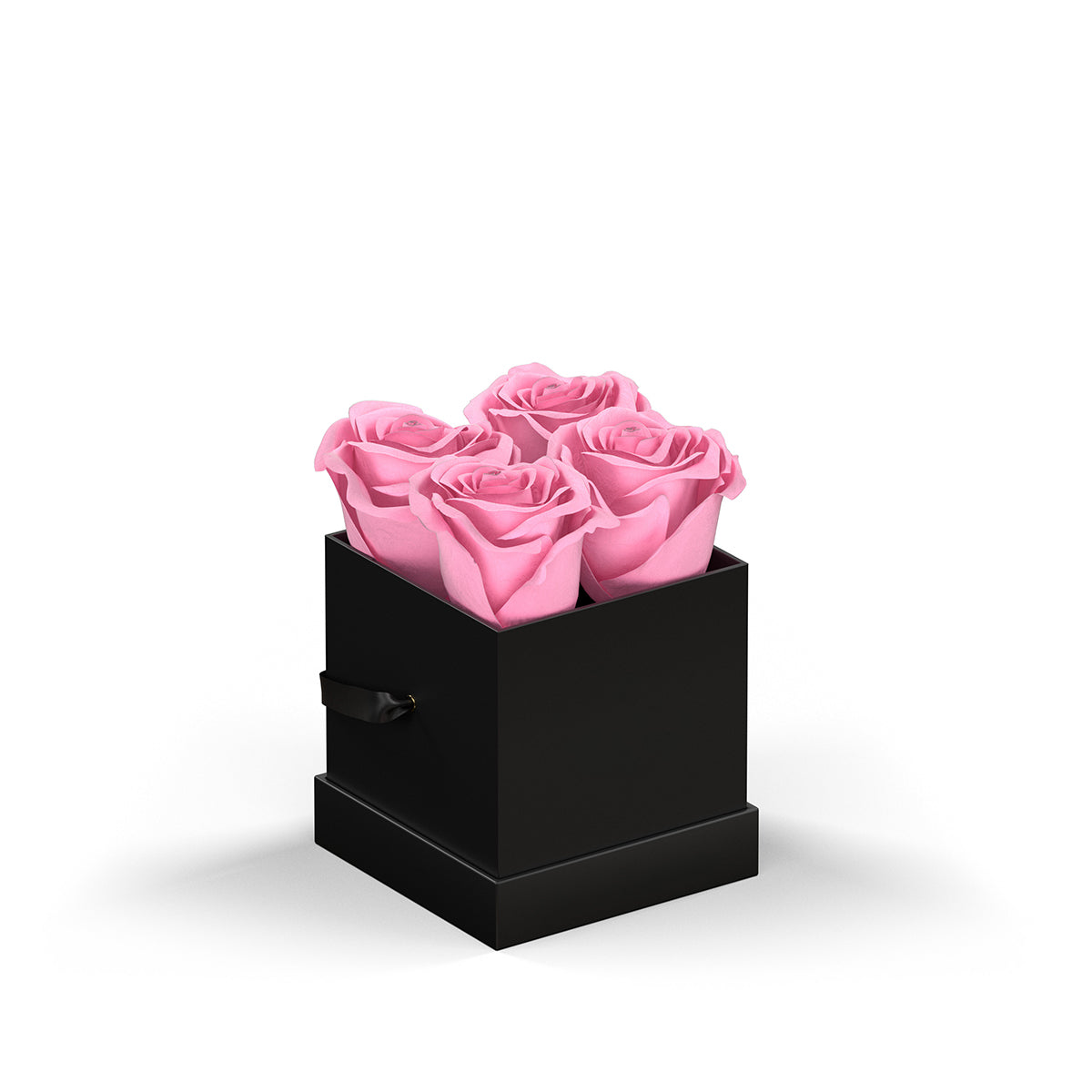 Classique by VeF Petit - Black Box