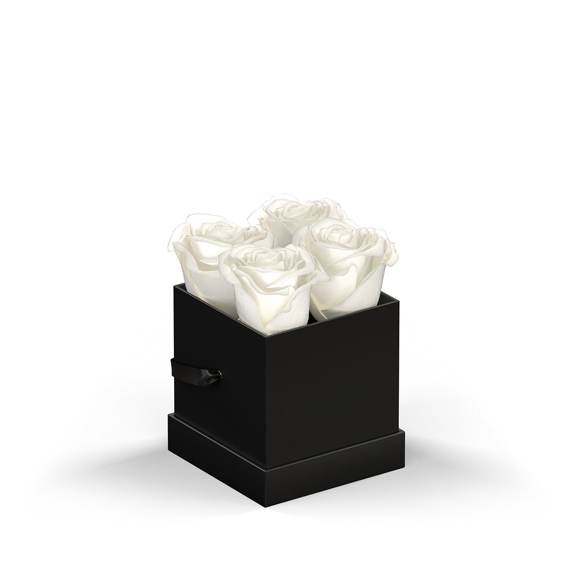 Classique by VeF Petit - Black Box