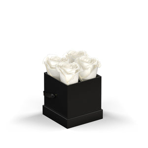 Classique by VeF Petit - Black Box