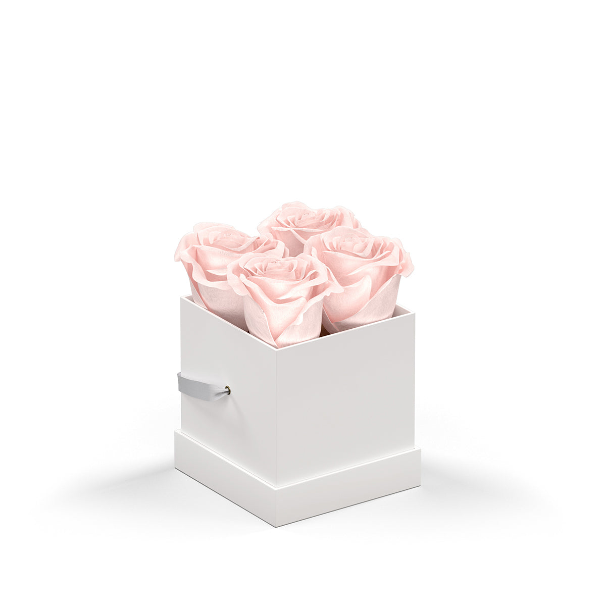 Classique by VeF Petit - White Box