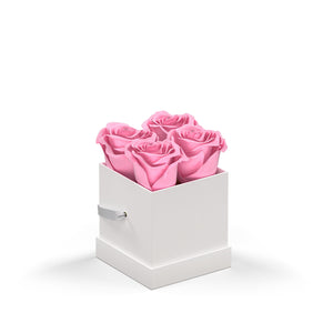 Classique by VeF Petit - White Box