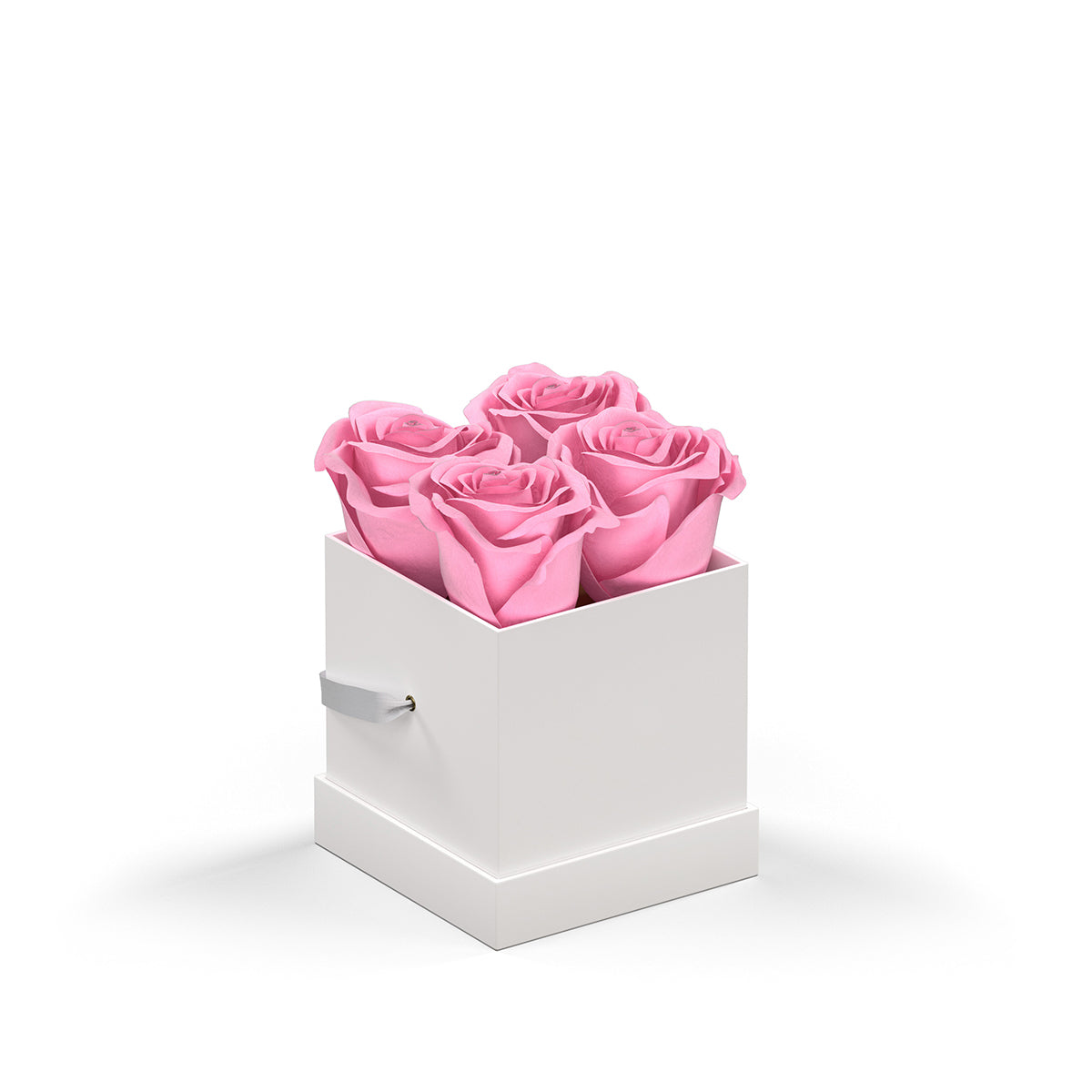 Classique by VeF Petit - White Box