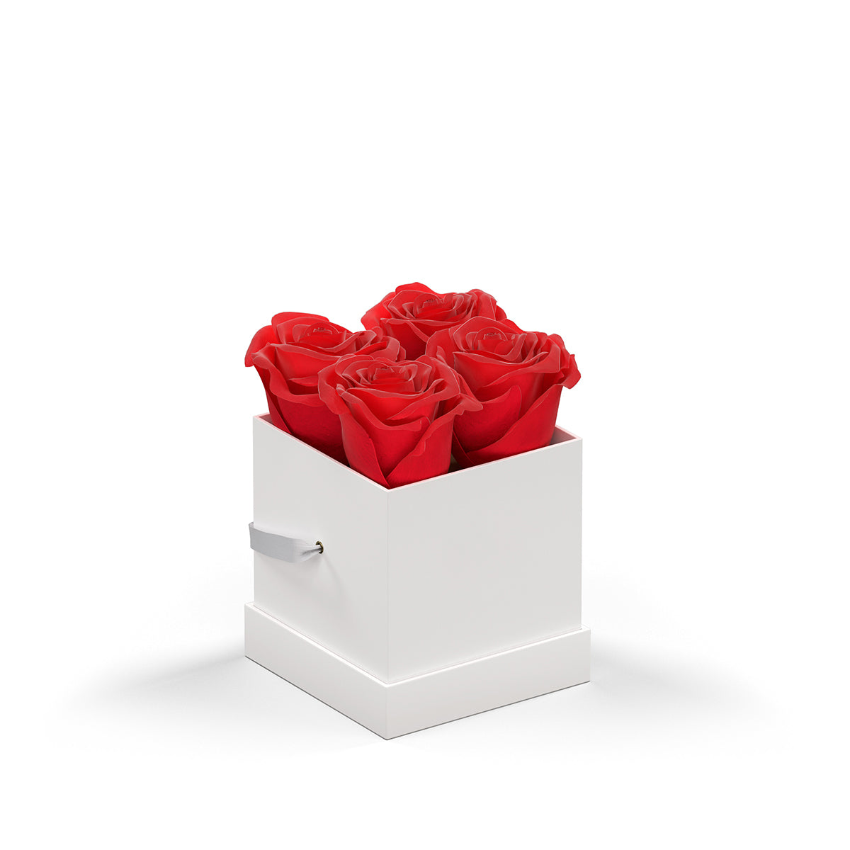 Classique by VeF Petit - White Box