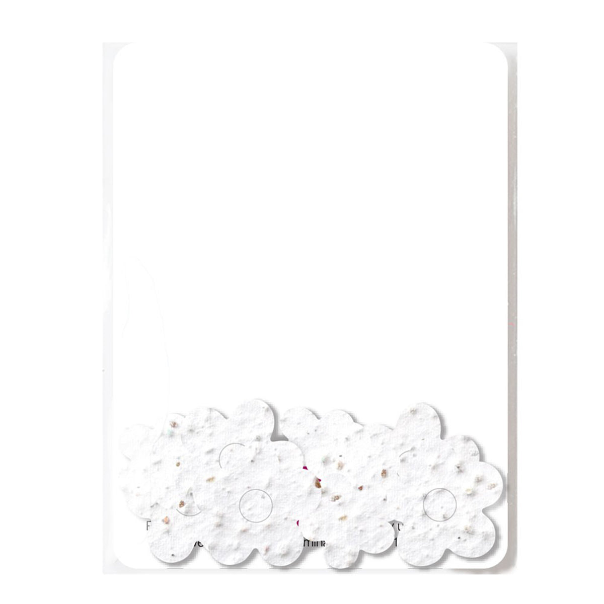 Bloomin® Seed Paper Confetti Gift Pack - Natural