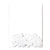 Bloomin® Seed Paper Confetti Gift Pack