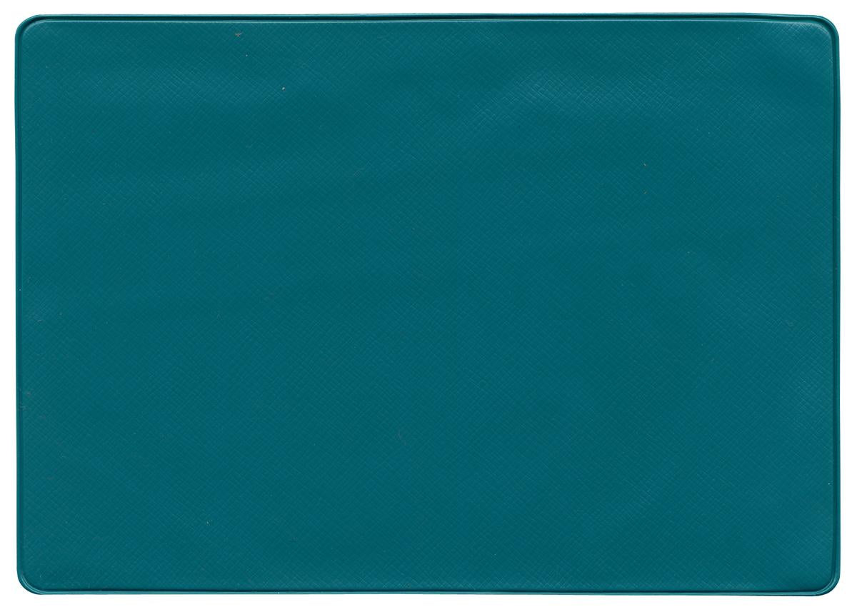 Insurance Card Holder - Teal