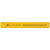 Standard 12 inch Ruler