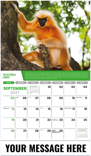 Planet Earth - 2027 Promotional Calendar